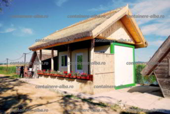 containere arad